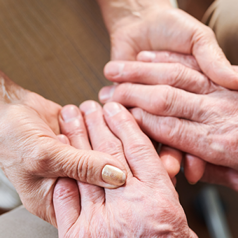 Couple holding hands.